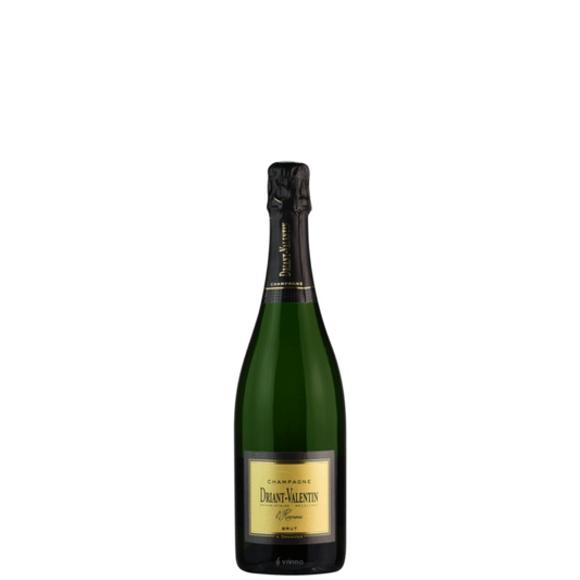 Champagne Driant Valentin Brut Demi 37.5cl